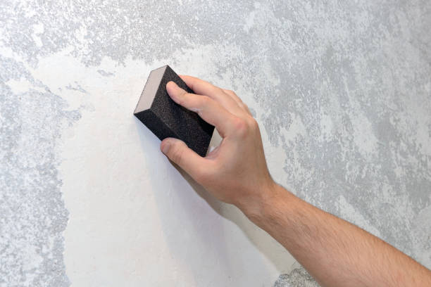 Best Attic Mold Removal  in Volo, IL
