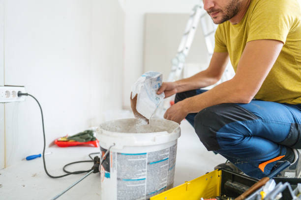 Mold Remediation for Vacation Homes in Volo, IL