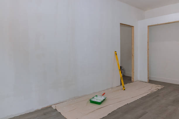 Best Post-Construction Mold Inspection  in Volo, IL