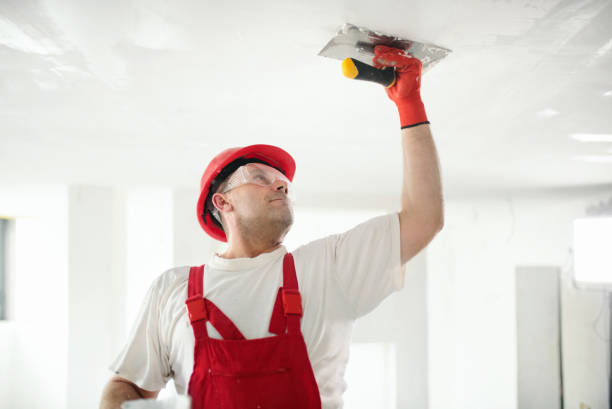 Best Mold Prevention Services  in Volo, IL
