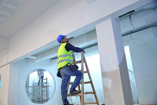 Mold Odor Removal Services in Volo, IL