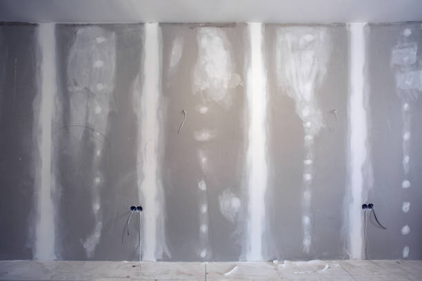 Best HVAC Mold Inspection and Cleaning  in Volo, IL