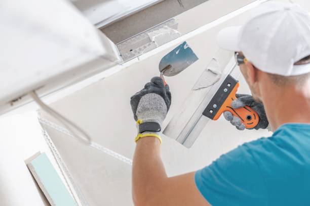 Best Mold Remediation for Healthcare Facilities  in Volo, IL